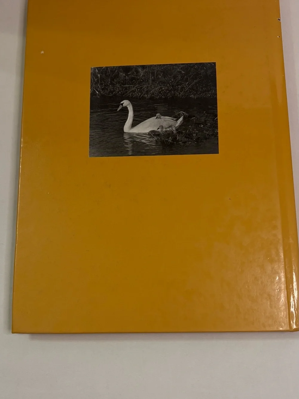 Rod and Staff Publishers hardcover book